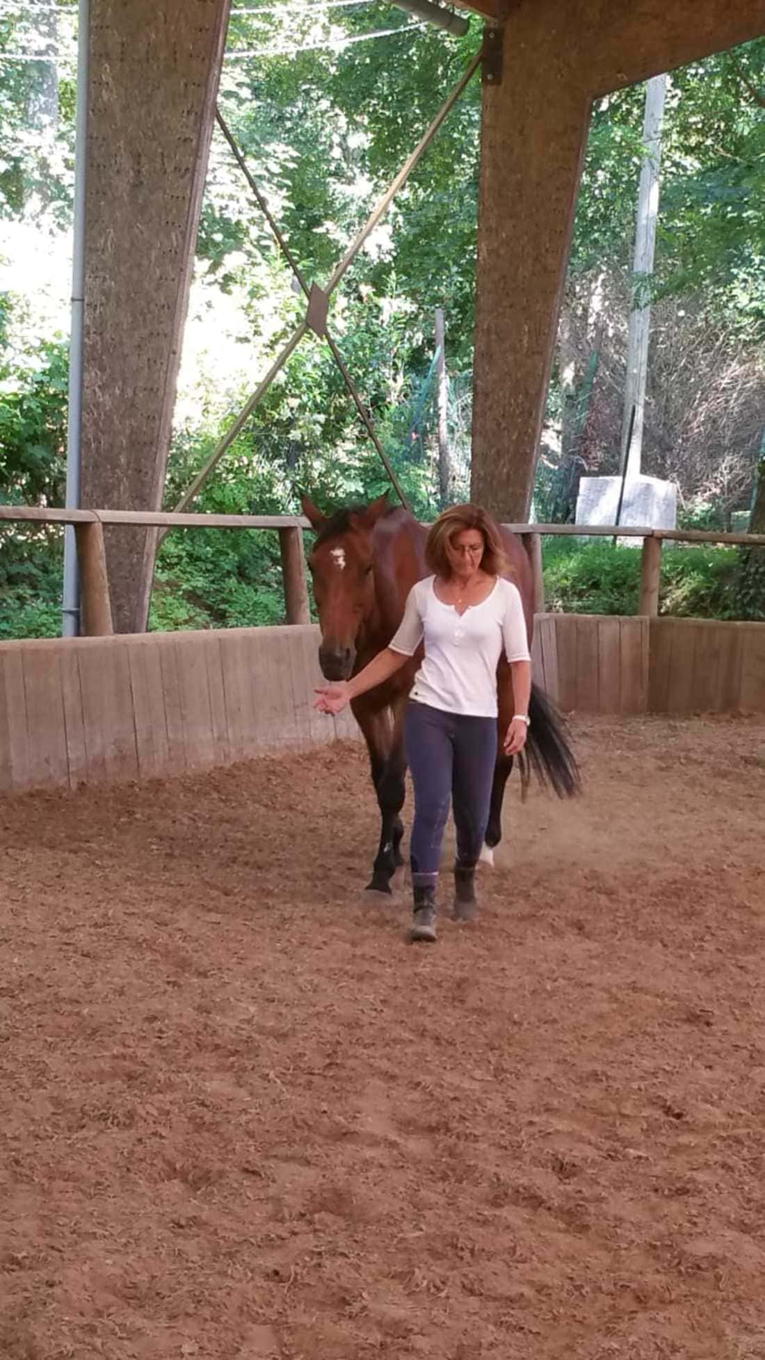 Equi-Coaching et Intelligence émotionnelle